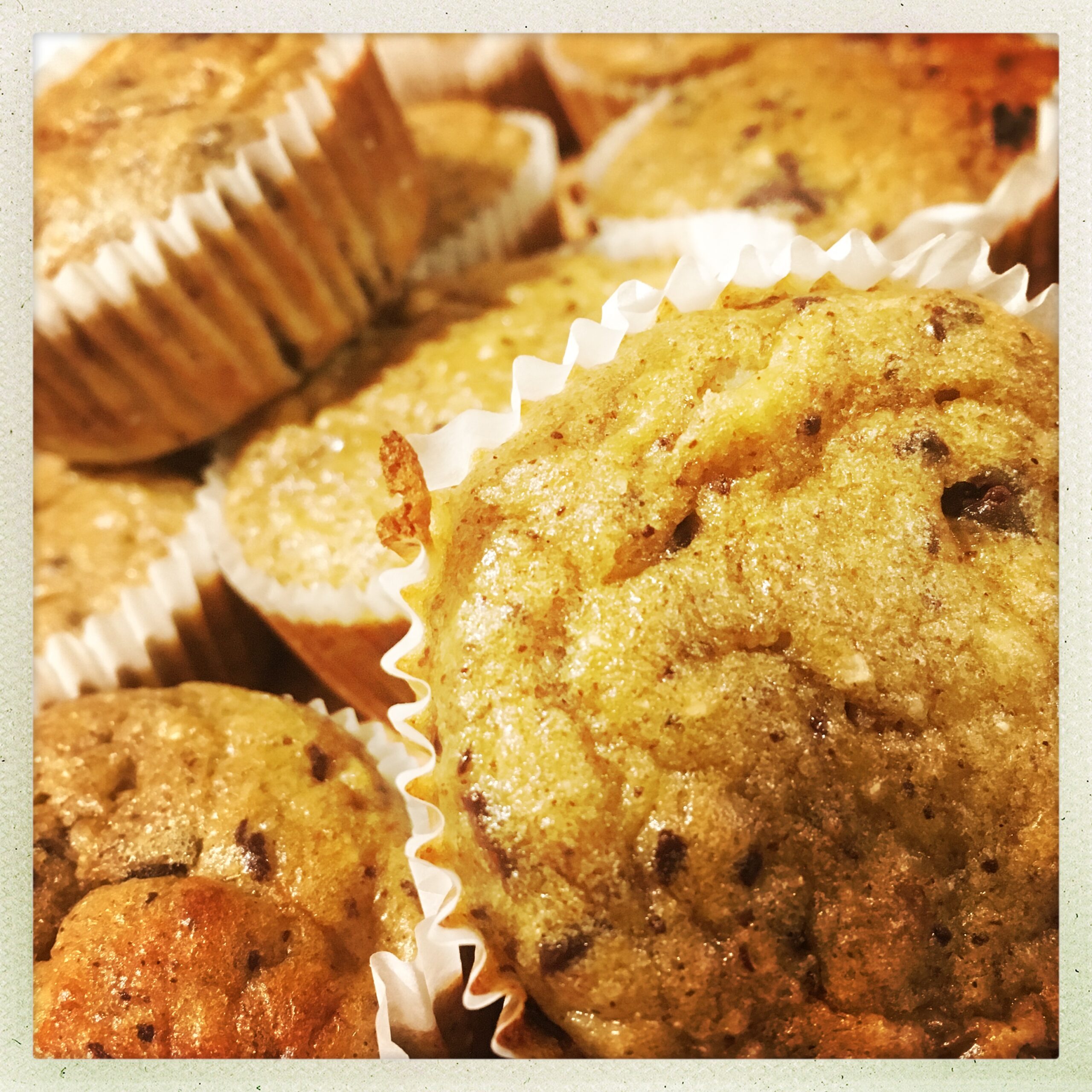 hipstamaticphoto-569088695.179287