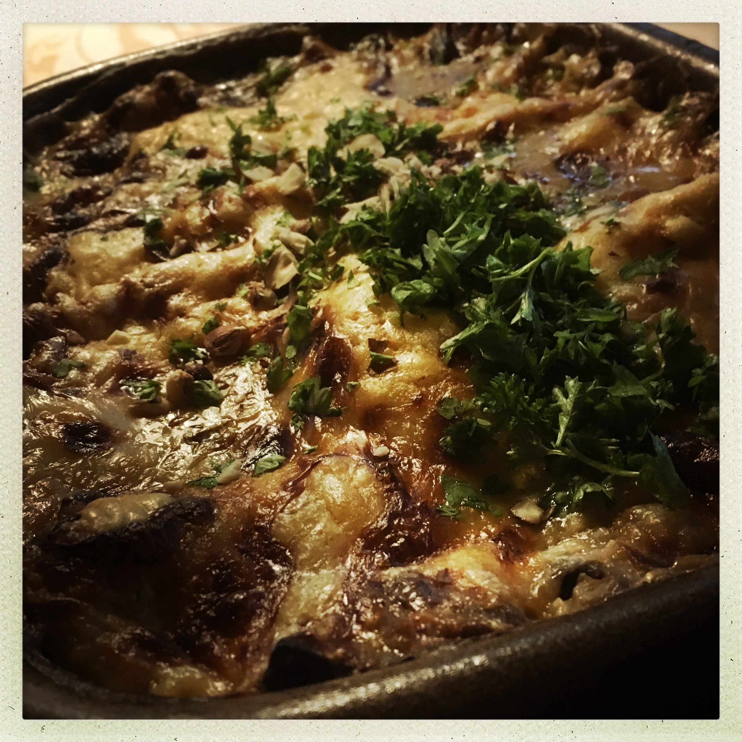 HipstamaticPhoto-577991820.287596