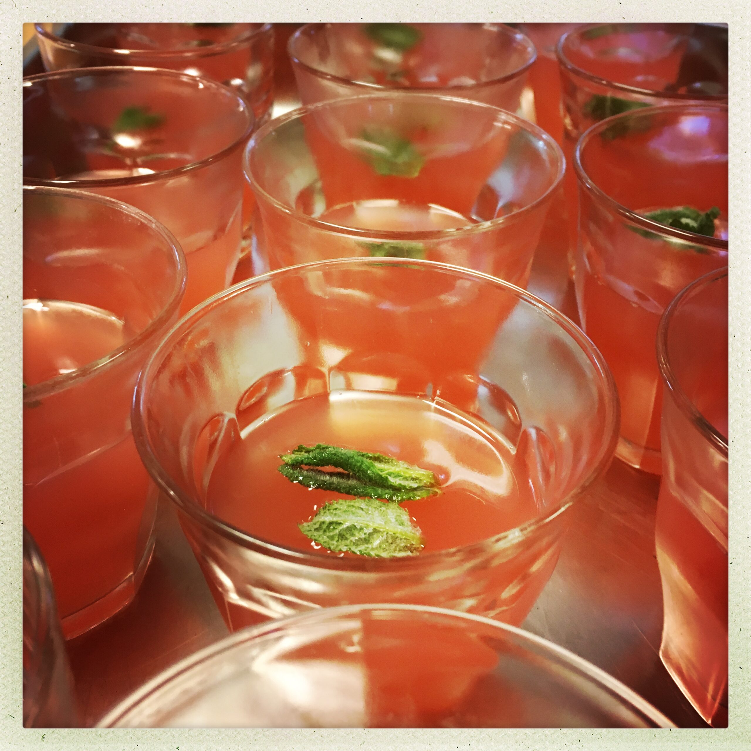 HipstamaticPhoto-578079290.659318