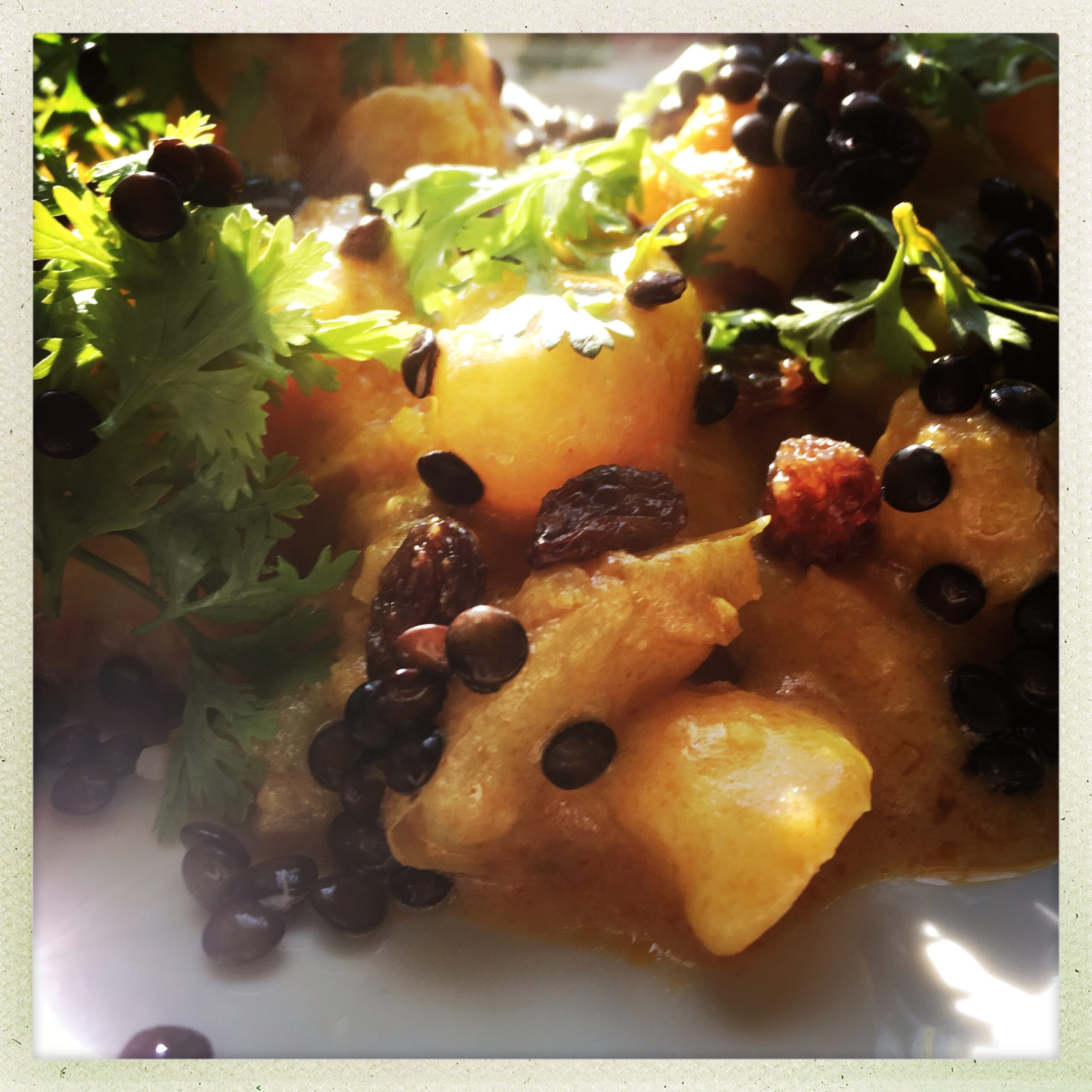 HipstamaticPhoto-580065265.350098