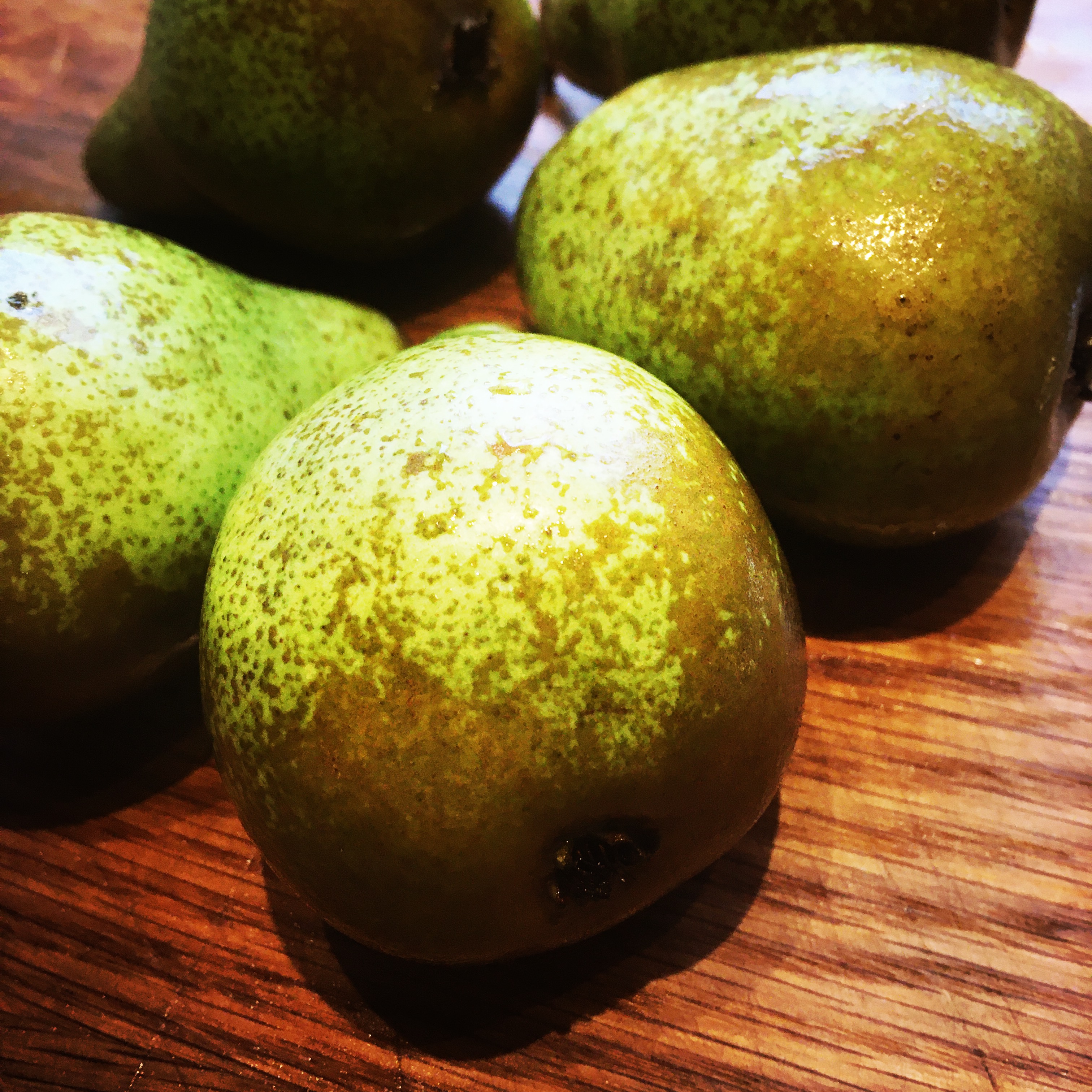 HipstamaticPhoto-593082343.231122