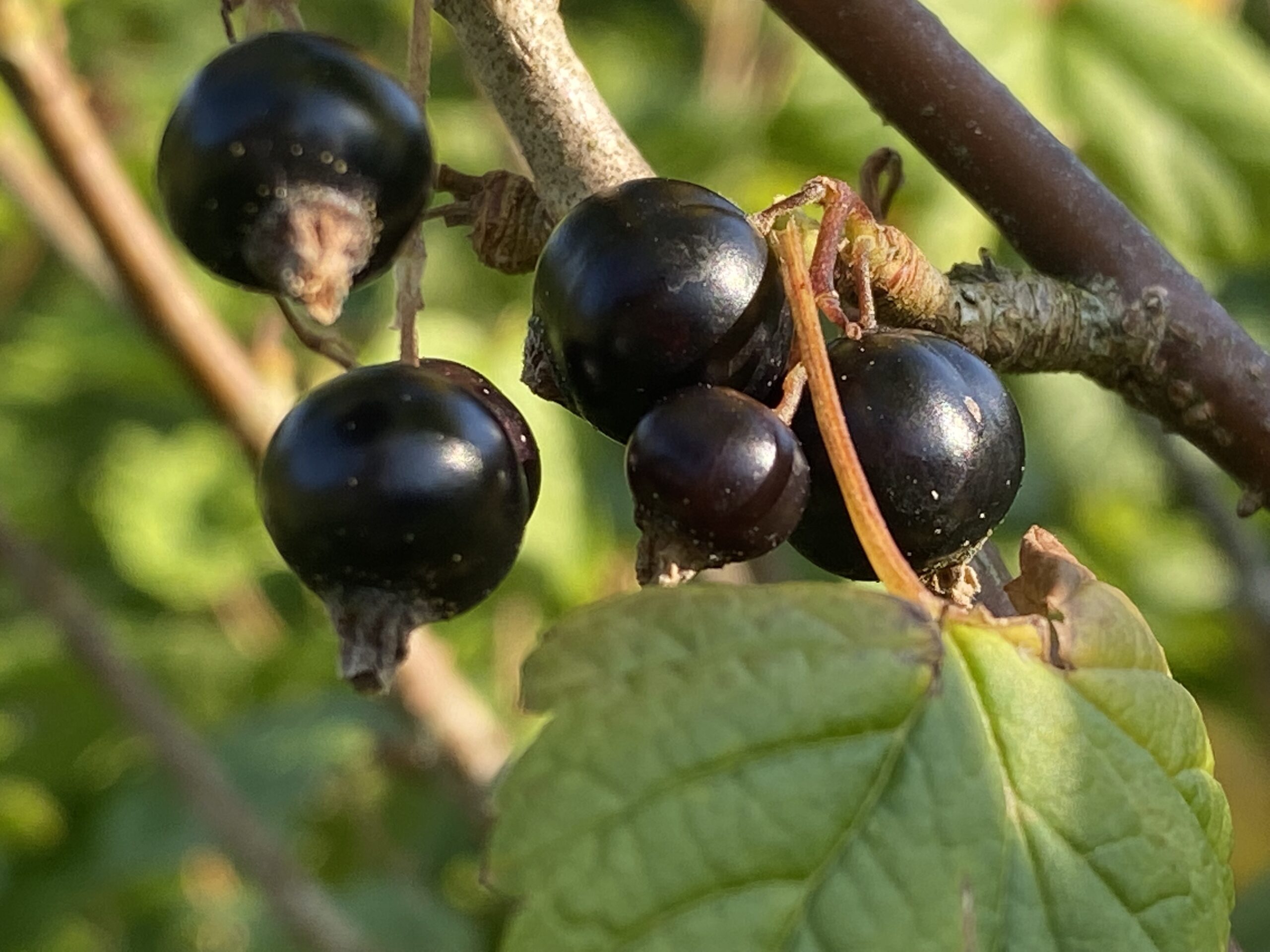 yx7akkvNT2qeGVE3s5ygcw